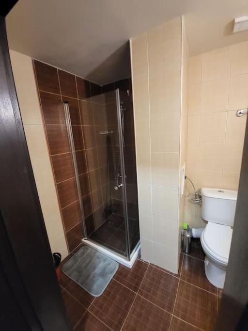 דירות Bansko Royal Towers 253 מראה חיצוני תמונה